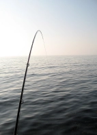 Fighting the first Fighting the first