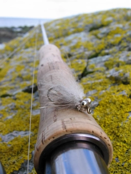 One of the first Sea Trout CDC&Elk's One of the first Sea Trout CDC&Elk's