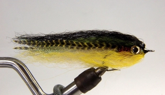 First generation First generation