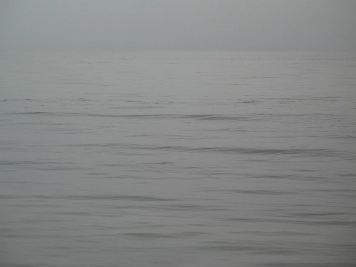 Mullet whirls Mullet whirls