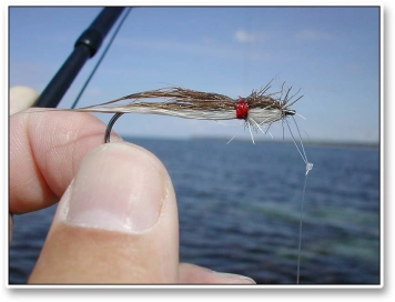 Thunder Creek Thunder Creek