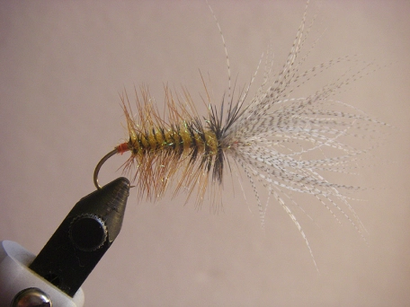 Reversed and palmered Reversed and palmered