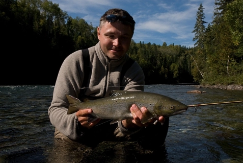 Small but strong Small but strong