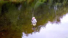 Video thumb for Long Hackled Dry Fly