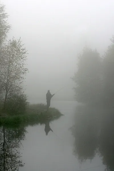 User submitted picture: Misty fog