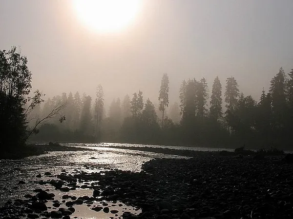 User submitted picture: Through the haze... a bea...