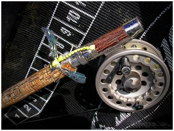 User submitted picture: Has pursues her(it) BASS ...